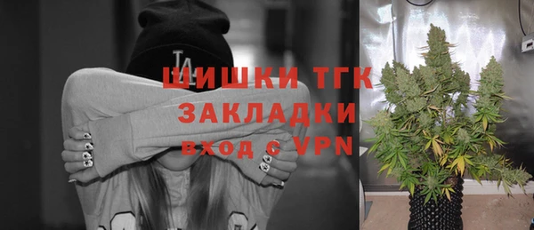 индика Семикаракорск