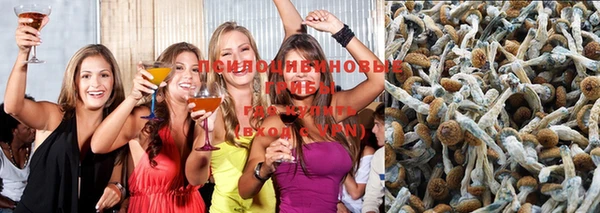 индика Семикаракорск